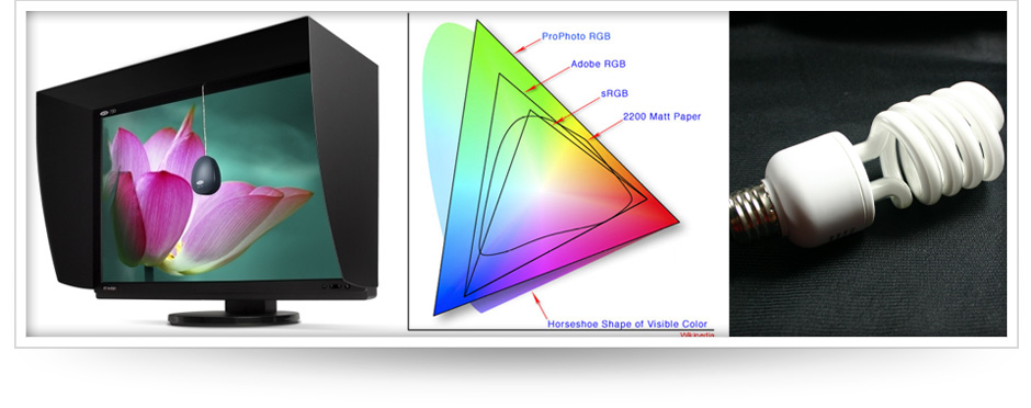 Post Processing, Photo Editing and Monitor Calibration